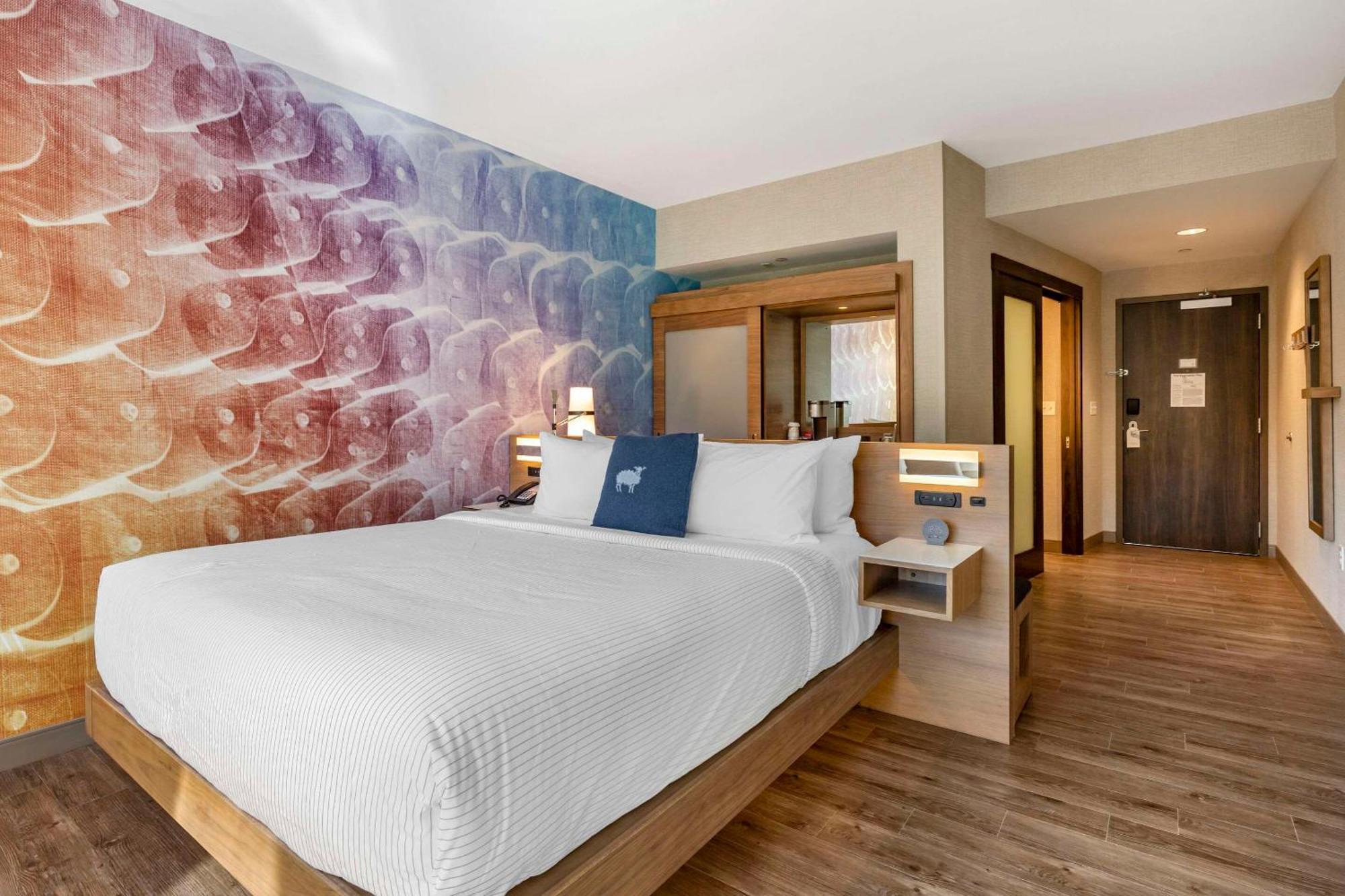 Cambria Hotel Manchester South Windsor Екстериор снимка